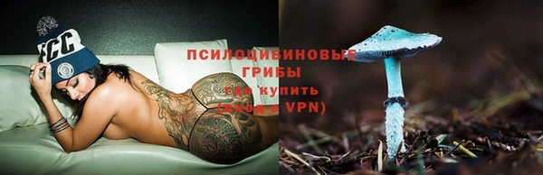 прущие крисы Абаза