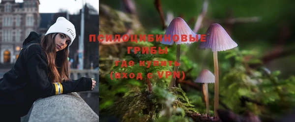 прущие крисы Абаза