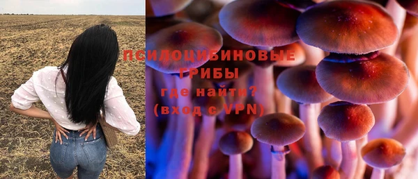 трава Абинск