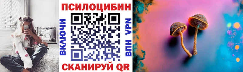 Псилоцибиновые грибы Psilocybine cubensis магазин продажи сайты даркнета формула Тутаев