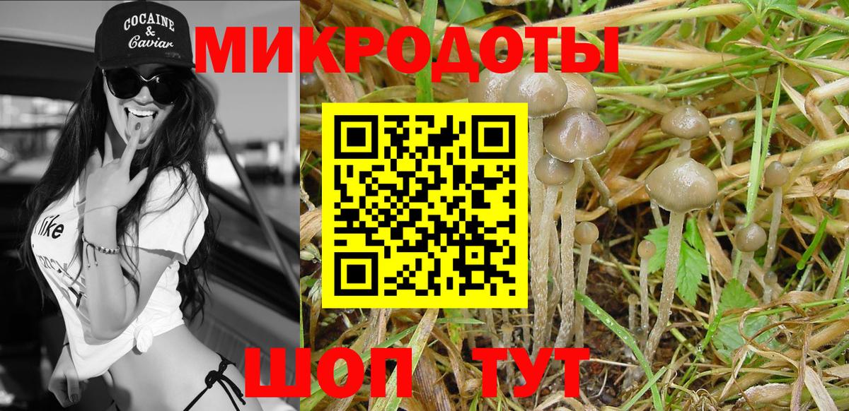 Галлюциногенные грибы прущие грибы Тутаев