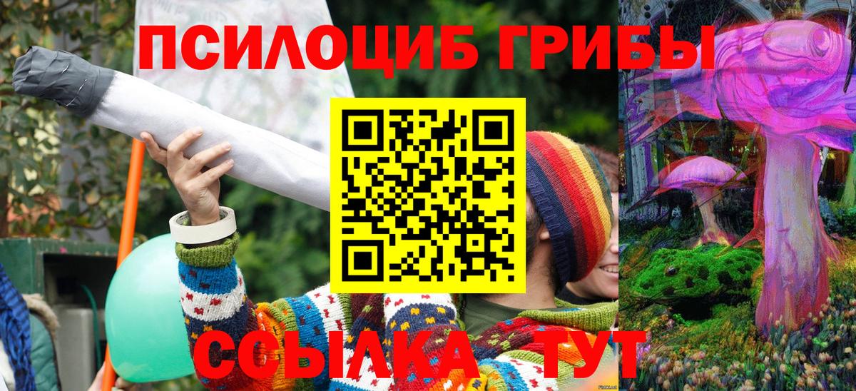 Галлюциногенные грибы MAGIC MUSHROOMS Тутаев