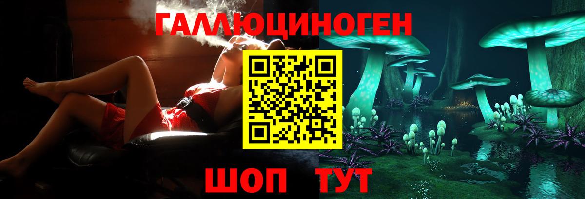 Тутаев  Псилоцибиновые грибы Magic Shrooms  Вход с VPN  Галлюциногенные грибы Psilocybine cubensis 